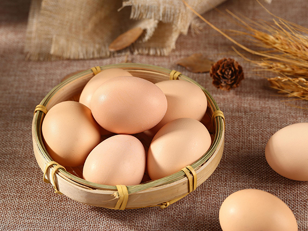 不和雞蛋一起吃的食物
